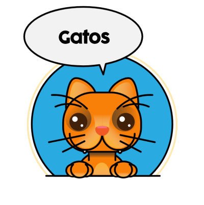 02gato